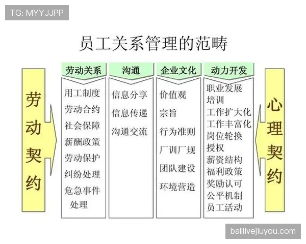 VAR规则中的关键判罚流程及其对比赛公平性的保障机制解析